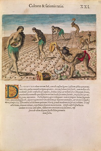 Florida Indians Planting Maize, from 